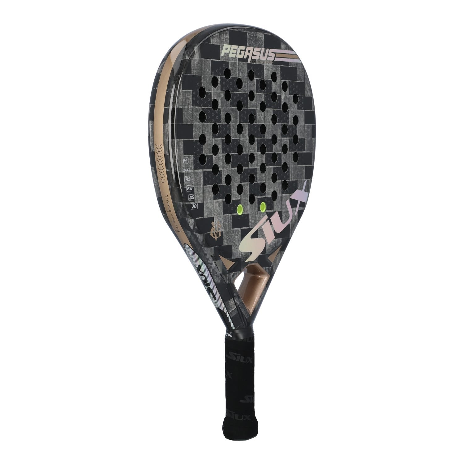 SIUX PEGASUS GV EDITION