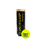 BOTE DE BOLAS DUNLOP PRO PADEL 601552