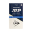 BOTE DE BOLAS DUNLOP ATP CHAMPIONSHIP