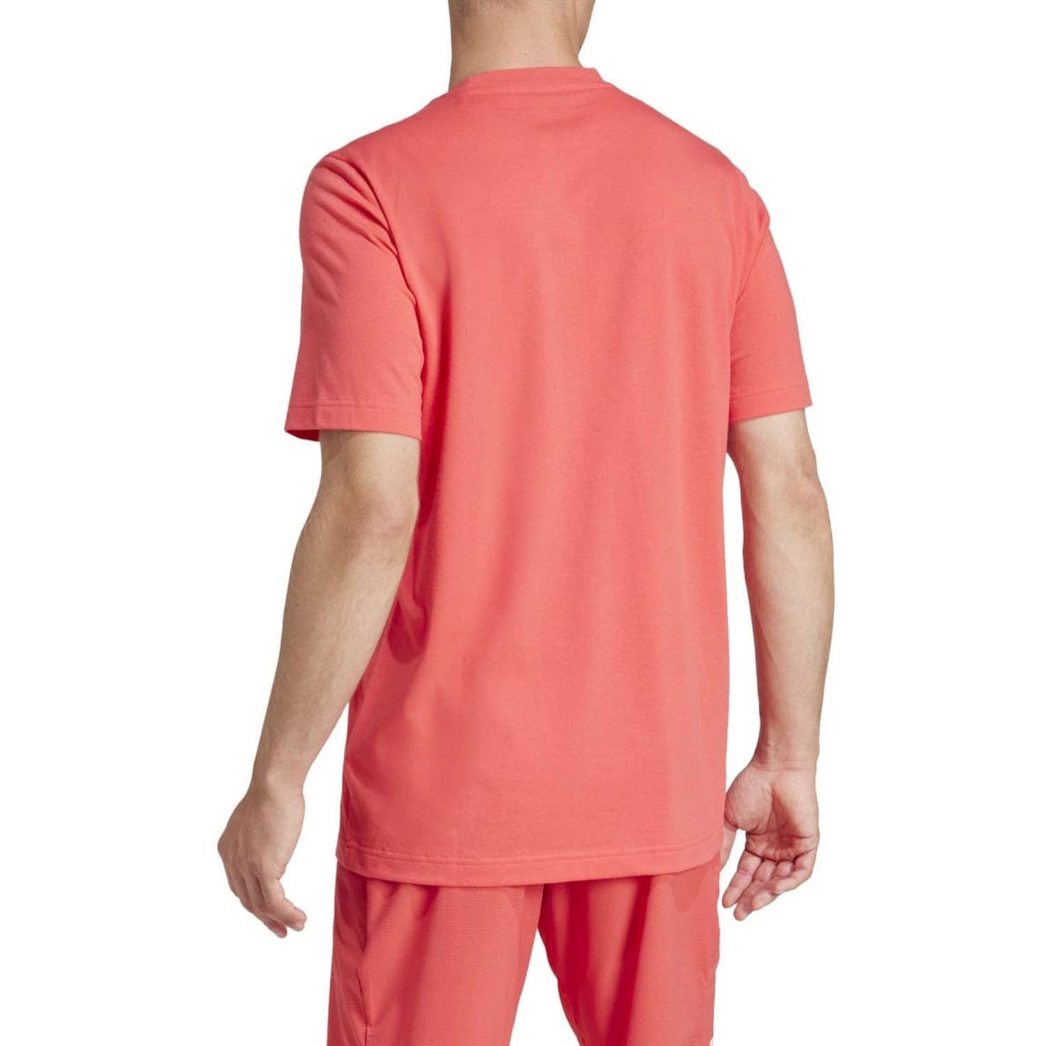 CAMISETA ADIDAS GRAPHIC HOMBRE