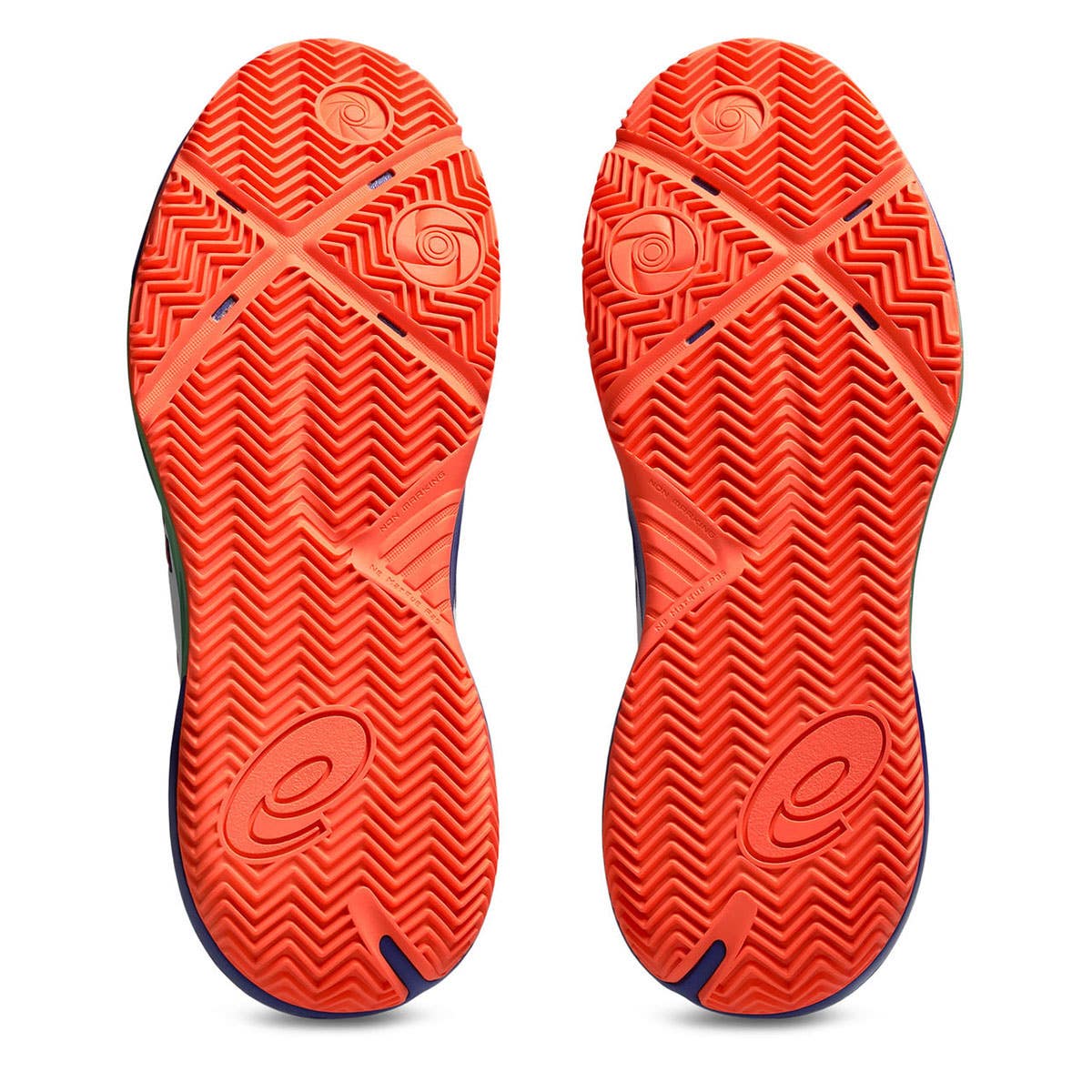 ASICS GEL-CHALLENGER 15 PADEL 1041A511 100 MULTICOLOR