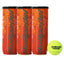 TRIPACK DE BOTES DE 3 BOLAS BULLPADEL TRAIN