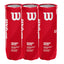 TRIPACK DE BOTES DE 3 BOLAS WILSON PERFORMANCE PADEL