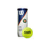 BOTE DE 3 BOLAS DE TENIS WILSON ROLAND GARROS ALL COURT WRT126400