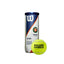 BOTE DE 3 BOLAS DE TENIS WILSON ROLAND GARROS CLAY COURT WRT125000