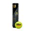 BOTE DE 4 BOLAS DE TENIS WILSON US OPEN WRT116200