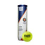 BOTE DE 4 BOLAS DE TENIS WILSON ROLAND GARROS CLAY COURT WRT115000