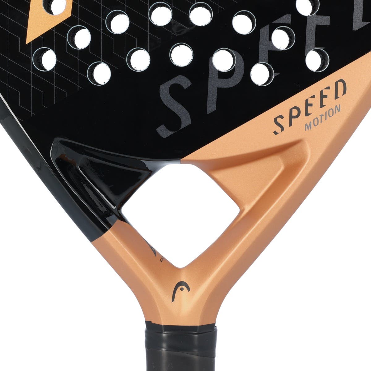 HEAD SPEED MOTION 2023
