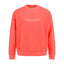 SUDADERA HEAD MOTION CREWNECK CORAL