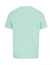 CAMISETA HEAD MOTION MENTA