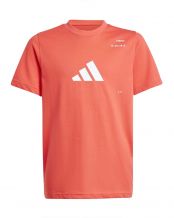 CAMISETA ADIDAS PERFORMANCE GRAPHIC JUNIOR