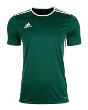 CAMISETA ADIDAS ENTRADA 18 VERDE BLANCO