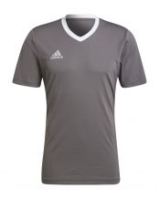 CAMISETA ADIDAS ENTRADA 22 GRIS