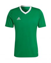 CAMISETA ADIDAS ENTRADA 22 VERDE BLANCO